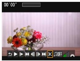 CANON EOS 77D - © Edition des premières et dernières scènes d'une dette - 1