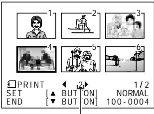 SHARP HI8 - Assigning Print Order to an Image - 9