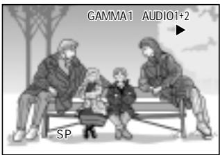 SHARP HI8 - Gamma Playback - 3