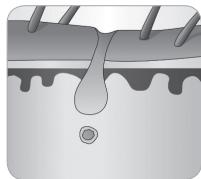 BABYLISS G750E - Karvan kasvusykli - 7