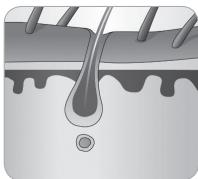 BABYLISS G750E - Karvan kasvusykli - 6