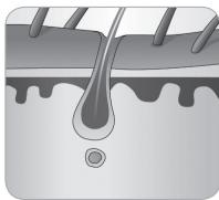 BABYLISS G750E - 2.1.IPL-teknologi - 6
