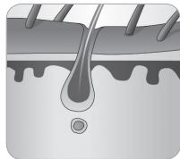 BABYLISS G750E - Rüstovy cyklus chloupku - 5