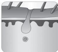 BABYLISS G750E - 2.2.Cykl wzrostu wlosa - 7