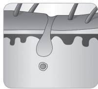 BABYLISS G750E - A ször növekedési ciklusa - 7