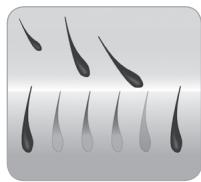 BABYLISS G750E - Karvan kasvusykli - 4