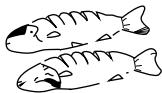 DAEWOO KOR-1NBZ - Disposition des aliments - 6