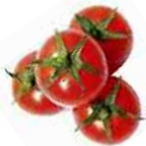MAGIMIX JUICE EXPERT 2 - Tomate - 6