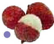 MAGIMIX JUICE EXPERT 2 - Litchi - 3