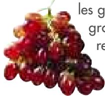 MAGIMIX JUICE EXPERT 2 - Raisin - 5