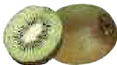 MAGIMIX JUICE EXPERT 2 - Gingembre - 8