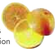 MAGIMIX JUICE EXPERT 2 - Agrumes - 3