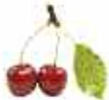 MAGIMIX JUICE EXPERT 2 - Cerise - 4