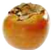 MAGIMIX JUICE EXPERT 2 - Gingembre - 5