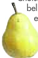 MAGIMIX JUICE EXPERT 2 - Poire - 6