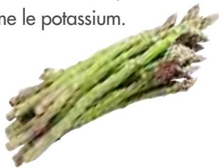MAGIMIX JUICE EXPERT 2 - Agrumes - 1