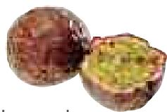 MAGIMIX JUICE EXPERT 2 - Passion (fruit de la) - 4