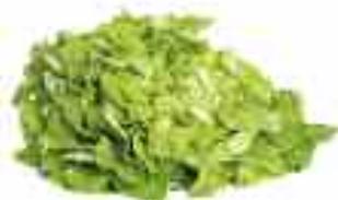 MAGIMIX JUICE EXPERT 2 - Salade - 2