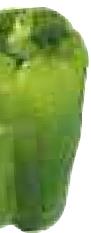MAGIMIX JUICE EXPERT 2 - Poivron - 5
