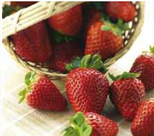 MAGIMIX JUICE EXPERT 2 - 600 g - 23