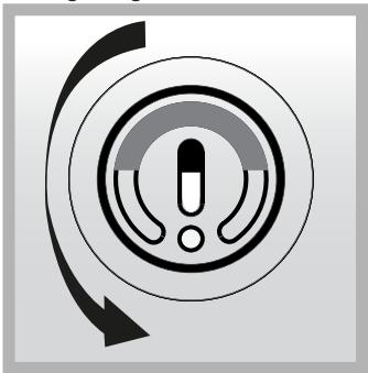 INDESIT LI70 FF1 W - LI70 FF1 X - STROMAUSFALLSENSOR\* - 2