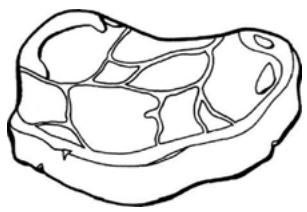 THOMSON TH-TTR 4 WH - Vis en schaal- en schelpdieren - 2