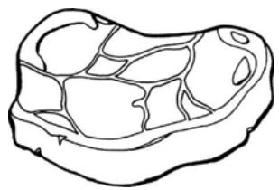 THOMSON TH-TTR 4 WH - Fish and seafood - 2