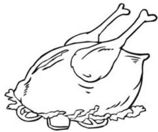 THOMSON TH-TTR 4 WH - Fish and seafood - 3