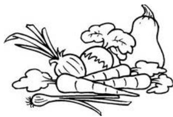 THOMSON TH-TTR 4 WH - Légumes et fruits frais - 1