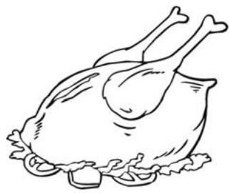 THOMSON TH-TTR 4 WH - Vis en schaal- en schelpdieren - 3