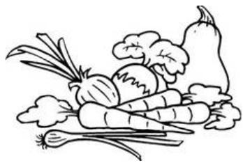 THOMSON TH-TTR 4 WH - Verse groente en fruit - 1