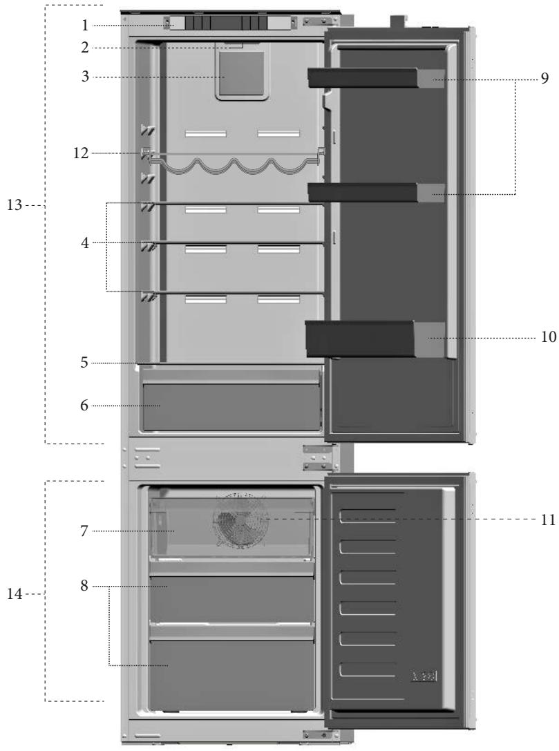 BEKO BCNA275E31SN  -  BCNA275E4FN - Il frigorifero - 1