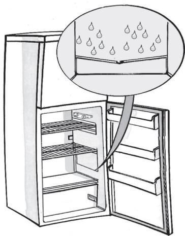 INDESIT IN D 2040 AA - HOW TO CLEAN THE REFRIGERATOR COMPARTMENT - 1