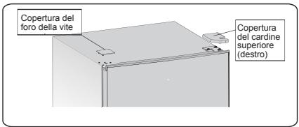 HISENSE FV245N4AD1 - Invertire la porta - 1