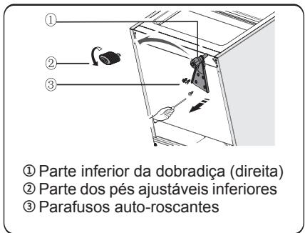 HISENSE FV245N4AD1 - Invertendo a porta - 7