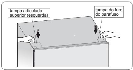 HISENSE FV245N4AD1 - Invertendo a porta - 11