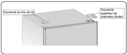 HISENSE FV245N4AD1 - Inverser la porte - 1