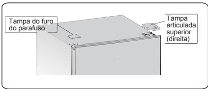 HISENSE FV245N4AD1 - Invertendo a porta - 1
