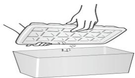 HISENSE RR220D4AR1 - Vaschetta del ghiaccio - 2