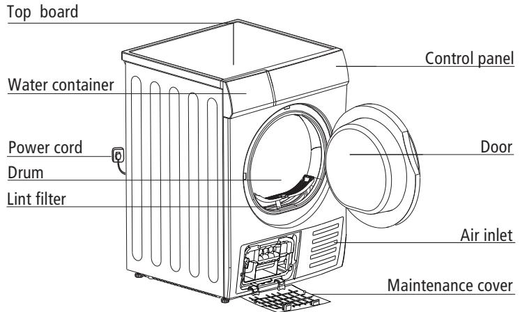 PROLINE PROCD81 - Product Description - 1