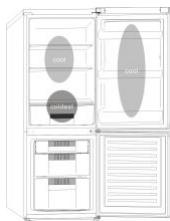CANDY CMGN 6184BWD - Where to store your foods in the fridge - 1