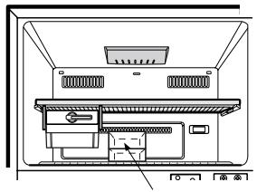 HISENSE RQ689N4AC1 - FREEZER COMPARTMENT - 1