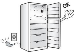 HISENSE RQ689N4AC1 - When using the refrigerator - 3