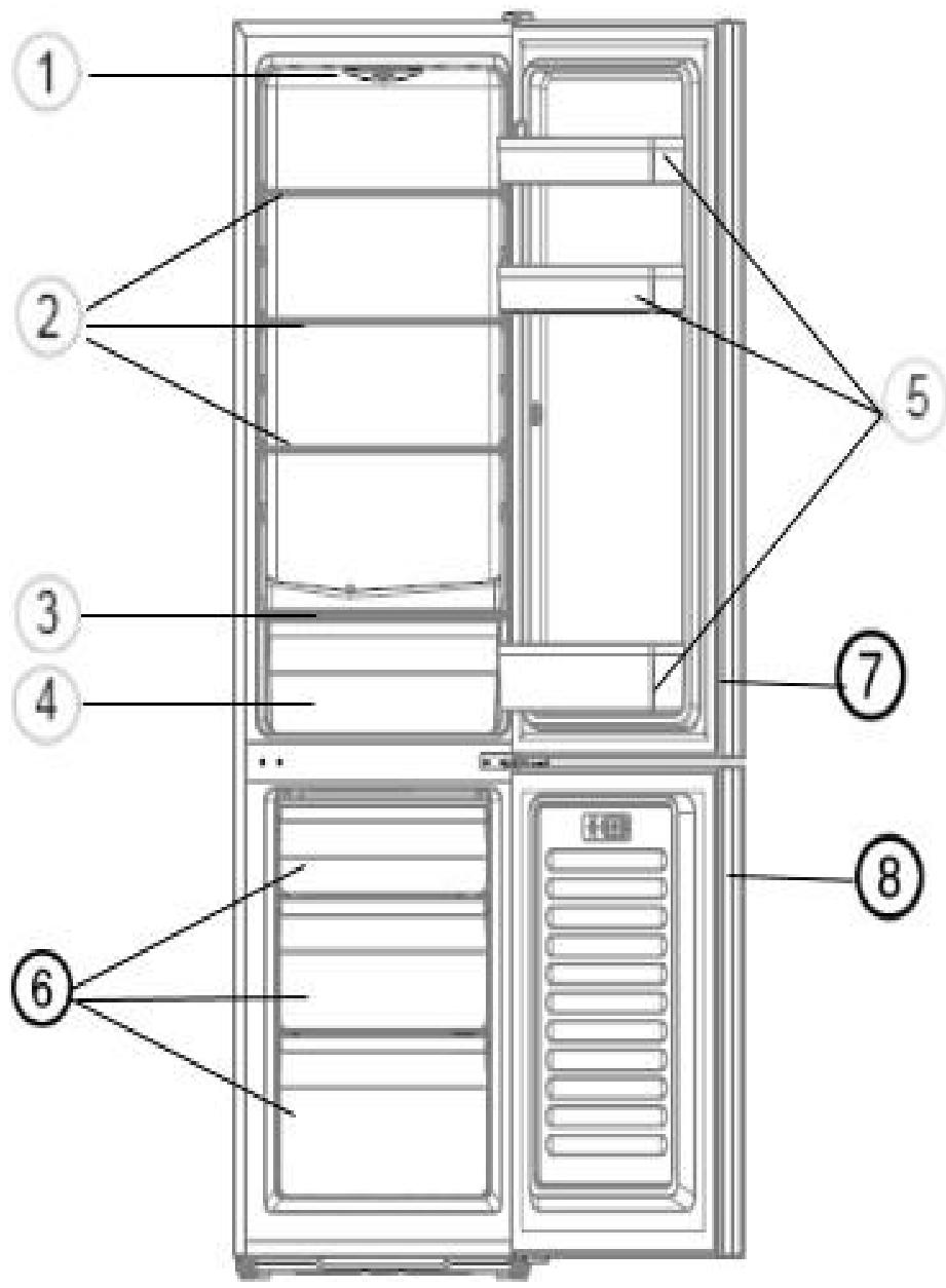 OCEANIC FC246DDB - ENERG - 2