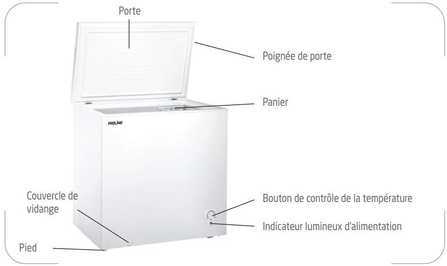 PROLINE PLCH206 - Précautions de sécurité - 3
