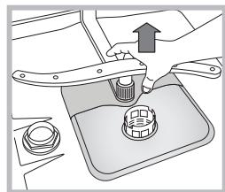 HOTPOINT LSTF 7B019 - Cleaning the spray arms - 2