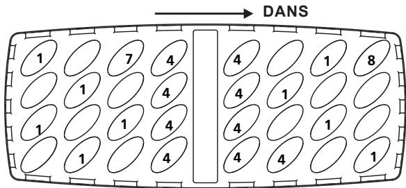 DANS 1 7 4 4 1 8 1 1 4 4 1 1 1 4 4 1 1 1 4 4 4 1