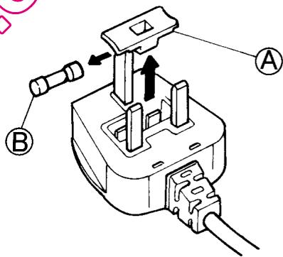 LADEN SC 304 IS - Fuse replacement - 1