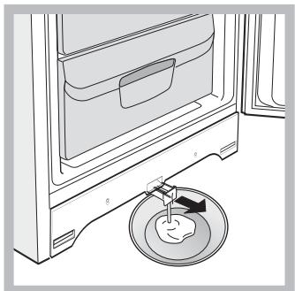 INDESIT BIAA 13 F H - Sbrinare il vano congelatore - 1