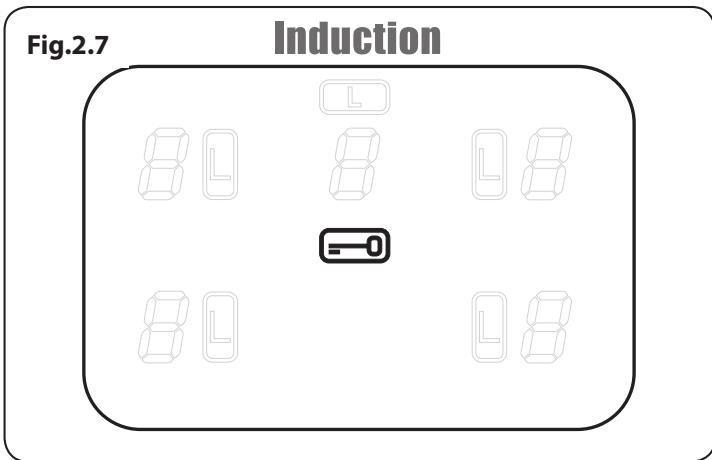 FALCON CLASSIC 90 INDUCTION - François - 2